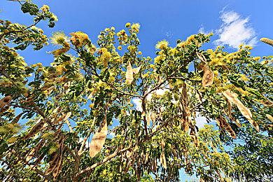 《战地：实验室》首次测试本周开启 测试概念和机制
