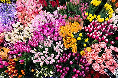 《黑相集：心中魔》现已发售 Steam褒贬不一